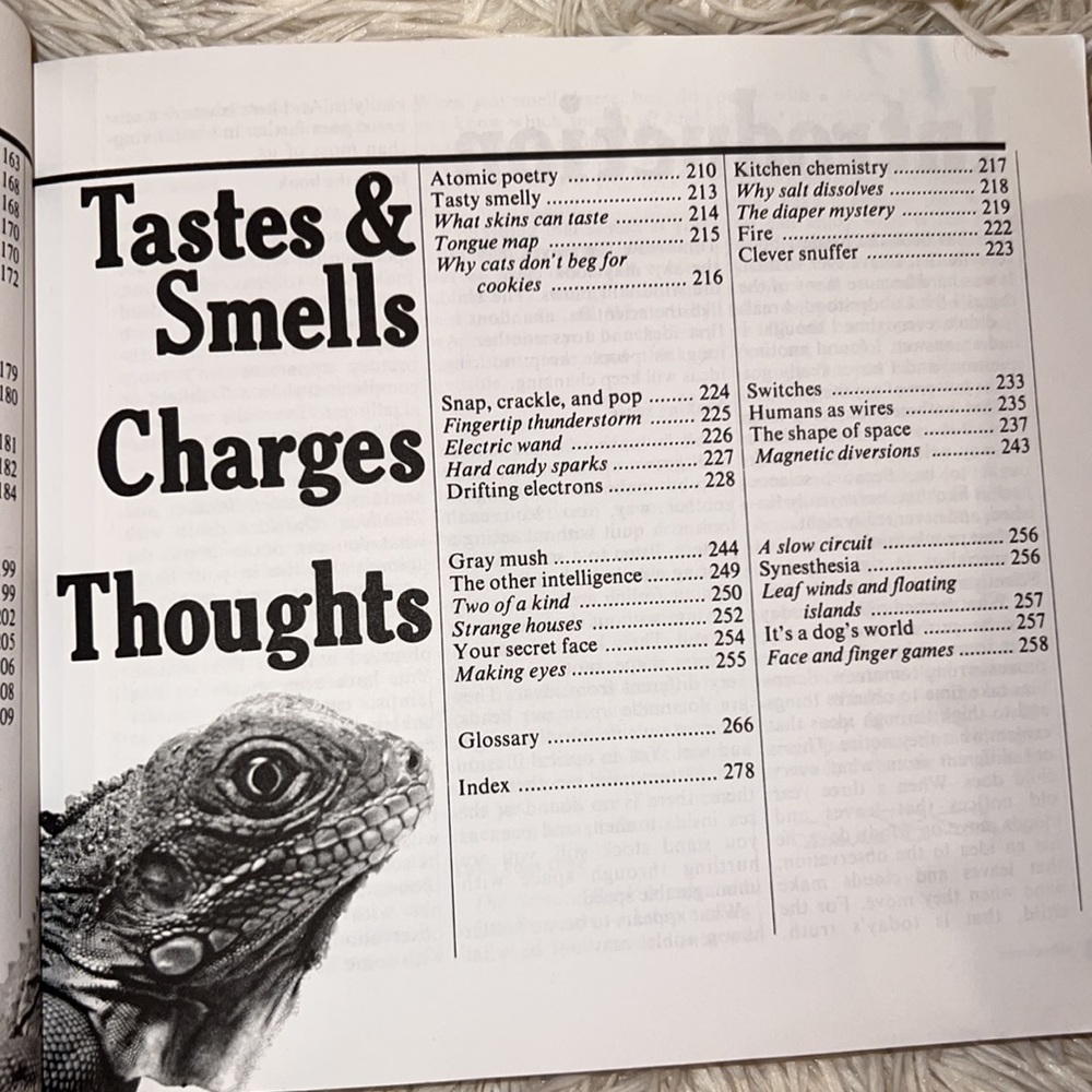 The Science Book by Sara Stein feast for young science explorers and scientists - Picture 14 of 14